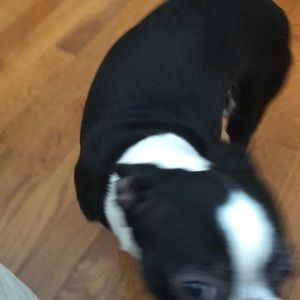 Meet your Posher, Dayanna